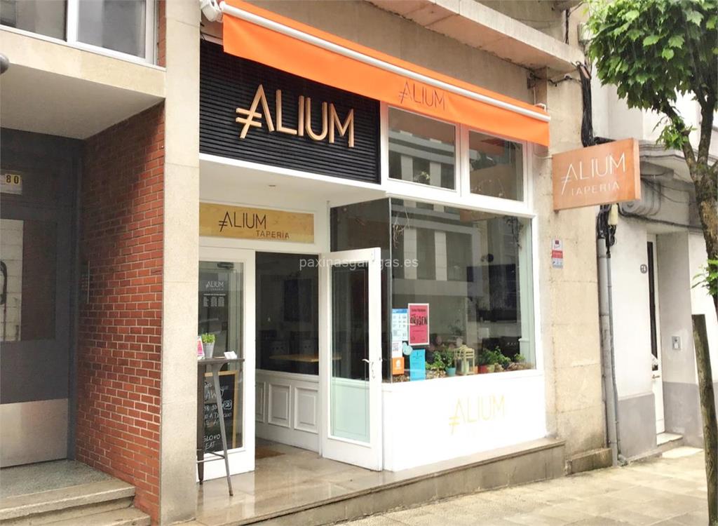 imagen principal Alium