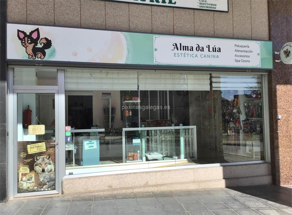 imagen principal Alma da Lúa