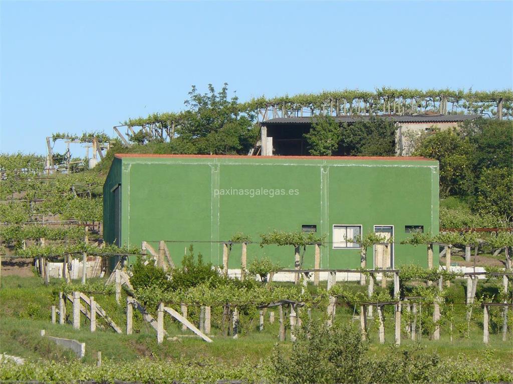 imagen principal Altos de Cristimil (Albariño)