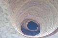 imagen 3 Ambitega Plagas