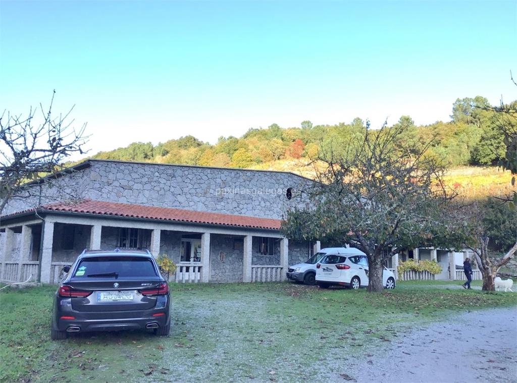 imagen principal Amedo (Gaios / Mencía)