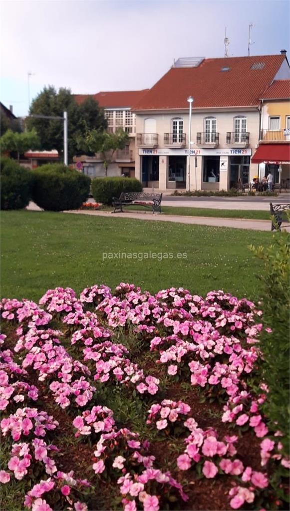 imagen principal Anduriña