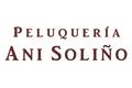 logotipo Ani Soliño