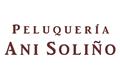 logotipo Ani Soliño