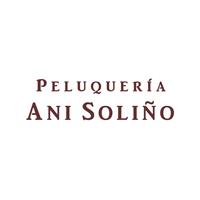 Logotipo Ani Soliño