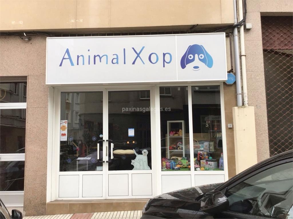 imagen principal Animalxop