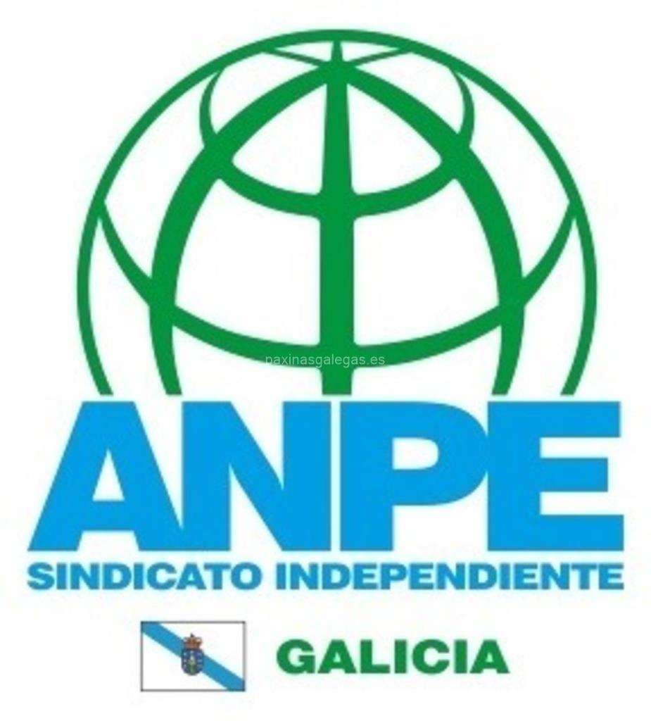 logotipo ANPE – Asociación Nacional de Profesores Estatales