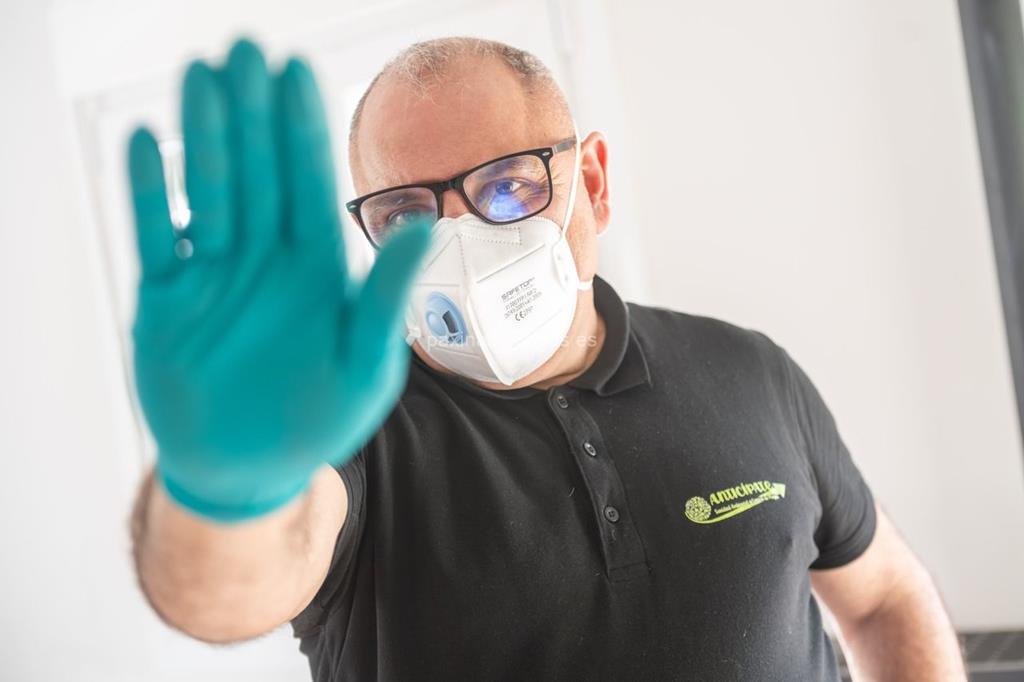 Anticípate imagen 11