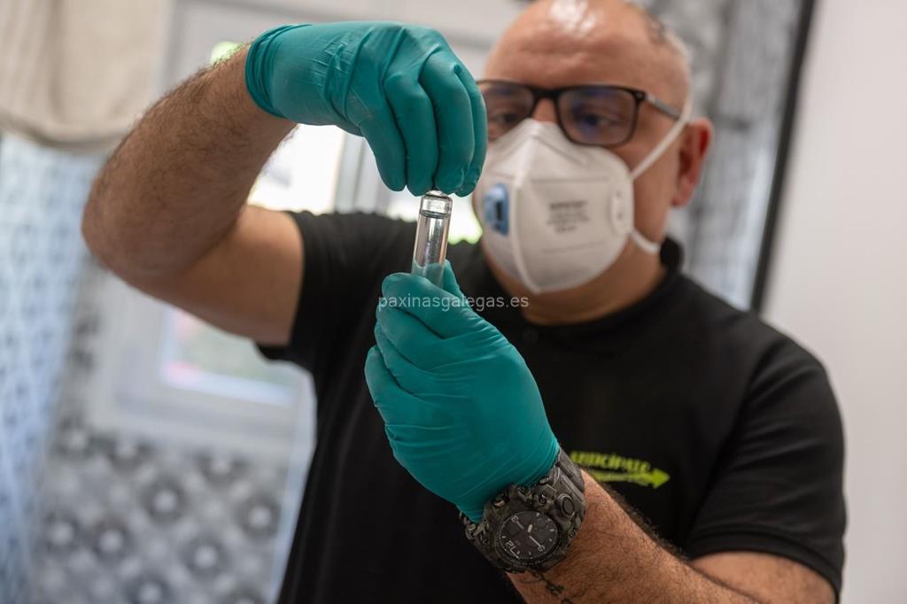 Anticípate imagen 12