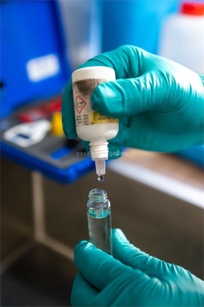 Anticípate imagen 17