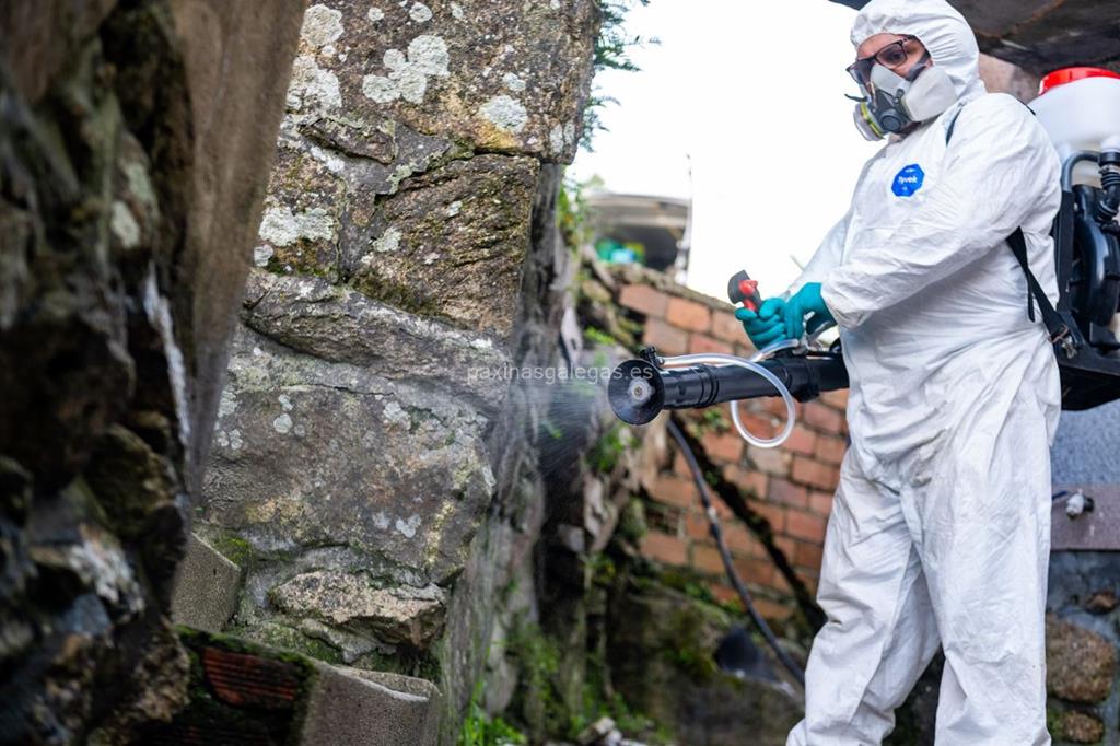 Anticípate imagen 19