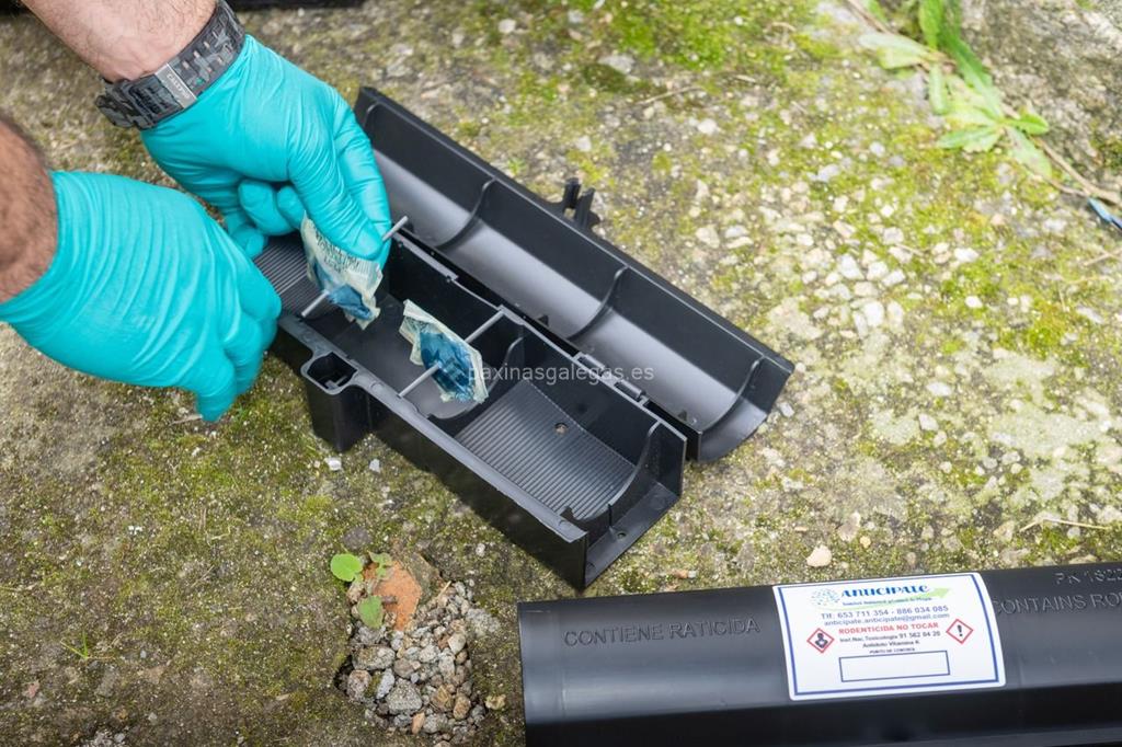 Anticípate imagen 6