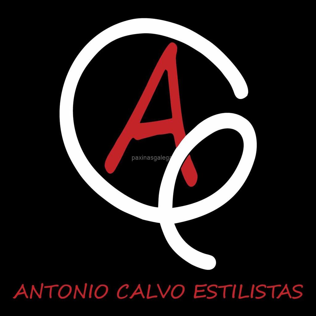 logotipo Antonio Calvo