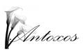 logotipo Antoxos