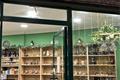 imagen principal Apothecary Covens