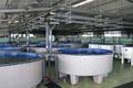 imagen principal Aquafarm