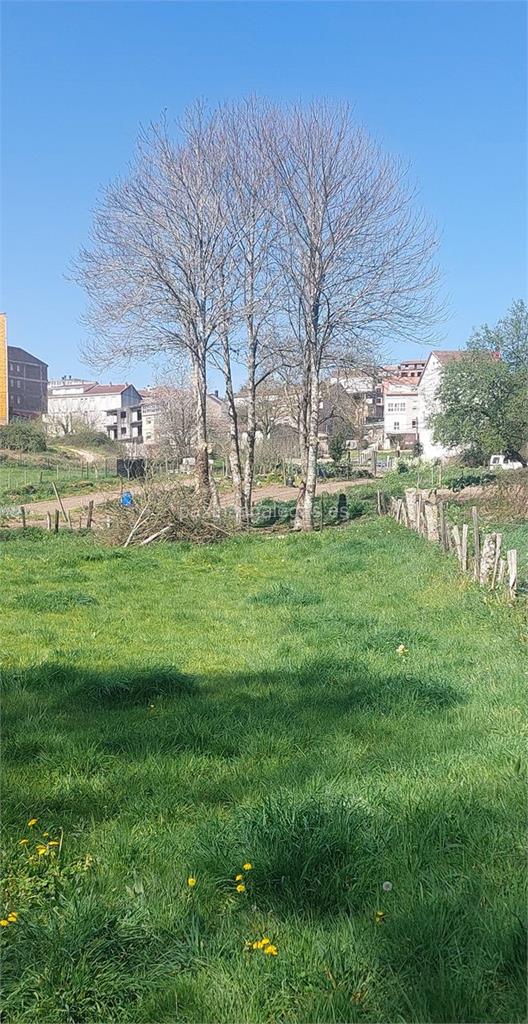 Arbogarden imagen 11