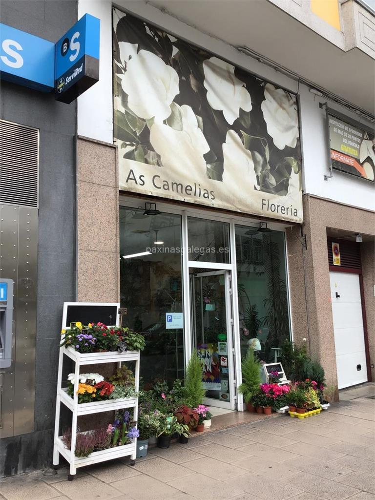 Floristeria As Camelias En Lugo