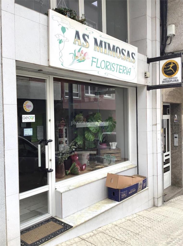 Floristería As Mimosas Floristería As Mimosas
