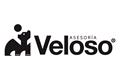 logotipo Asesores Veloso Recarey