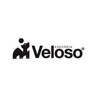 Logotipo Asesores Veloso Recarey