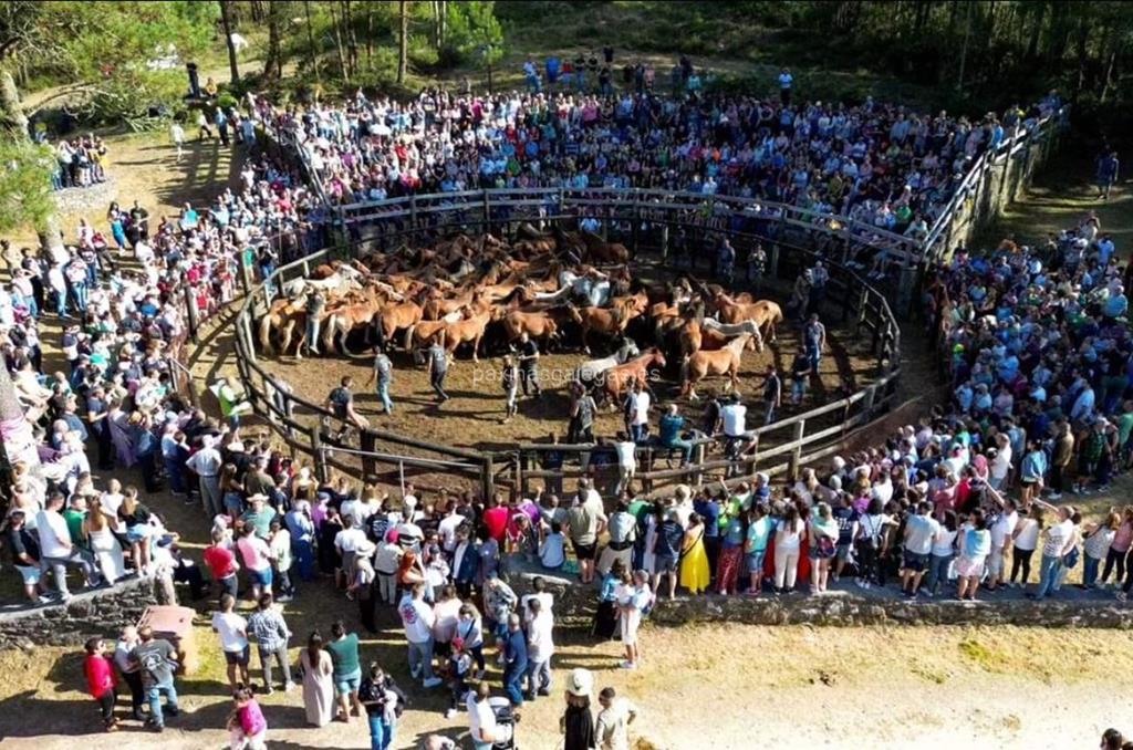 imagen principal Asociación Cultural e Cabalar Monte Faro