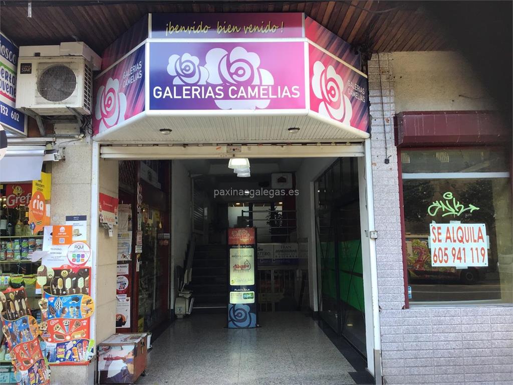 imagen principal Asociación Profesional de Calígrafos de Galicia