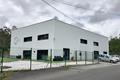 imagen principal Aurum
