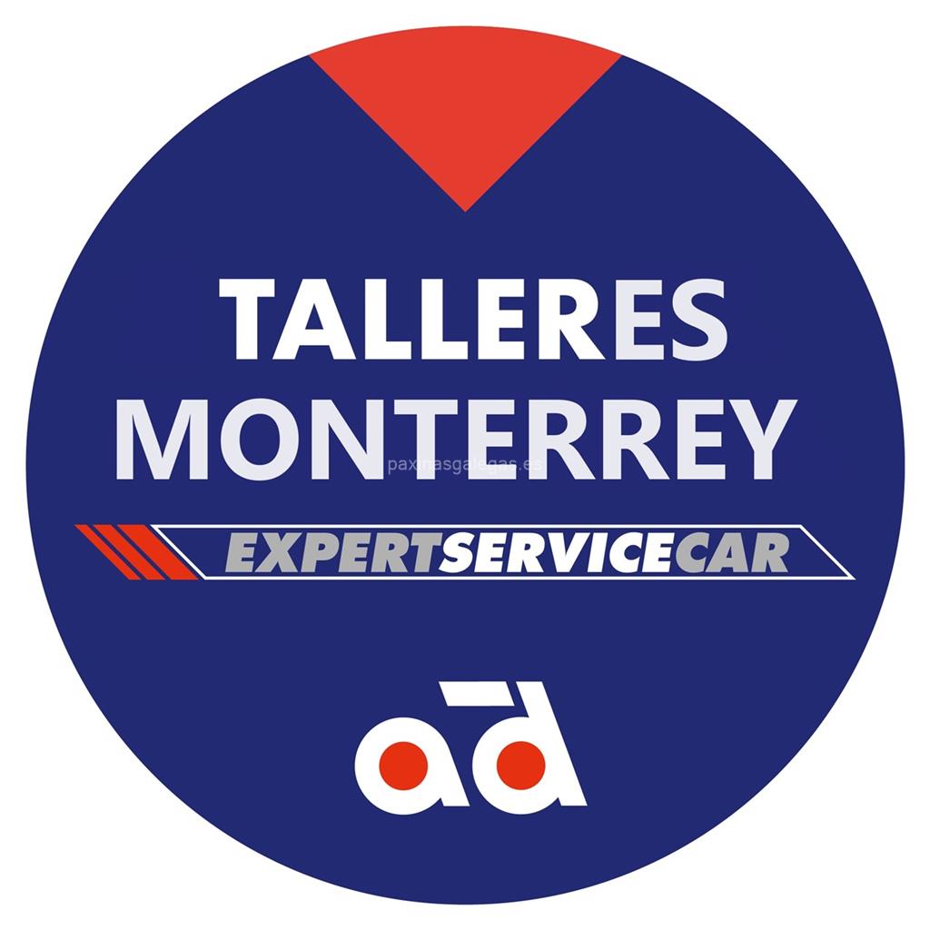 logotipo Automóviles y Talleres Monterrey (Expert Service Car)