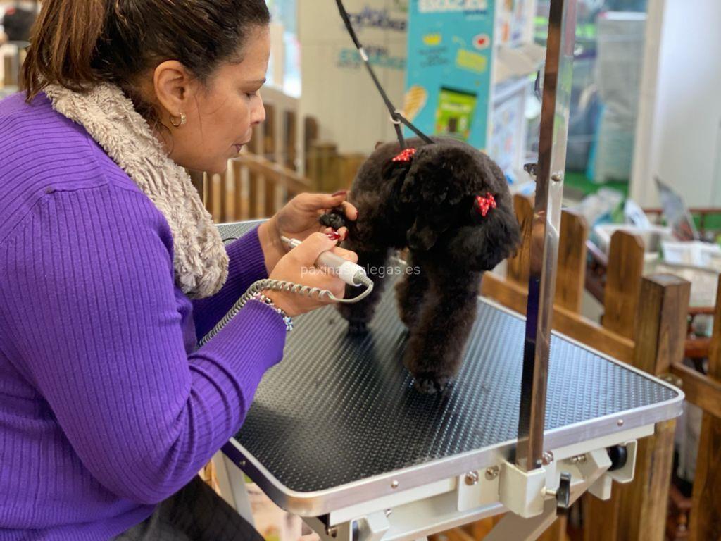 Avenida Poodle imagen 15
