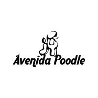 Logotipo Avenida Poodle