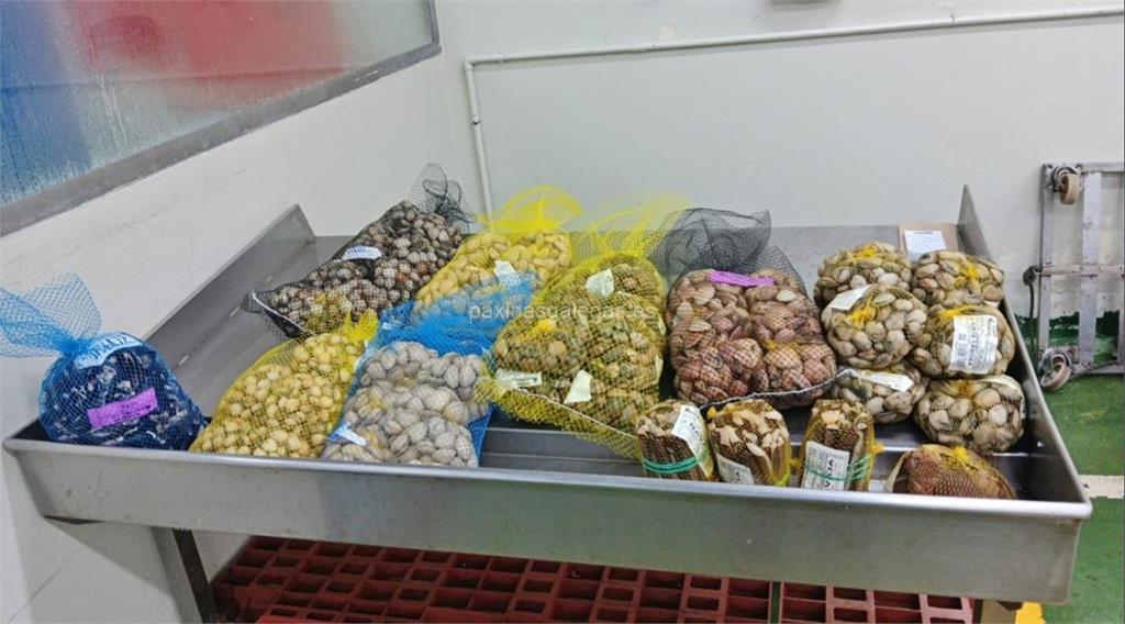 imagen principal Ayramar Productos del Mar