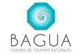 logotipo Bagua