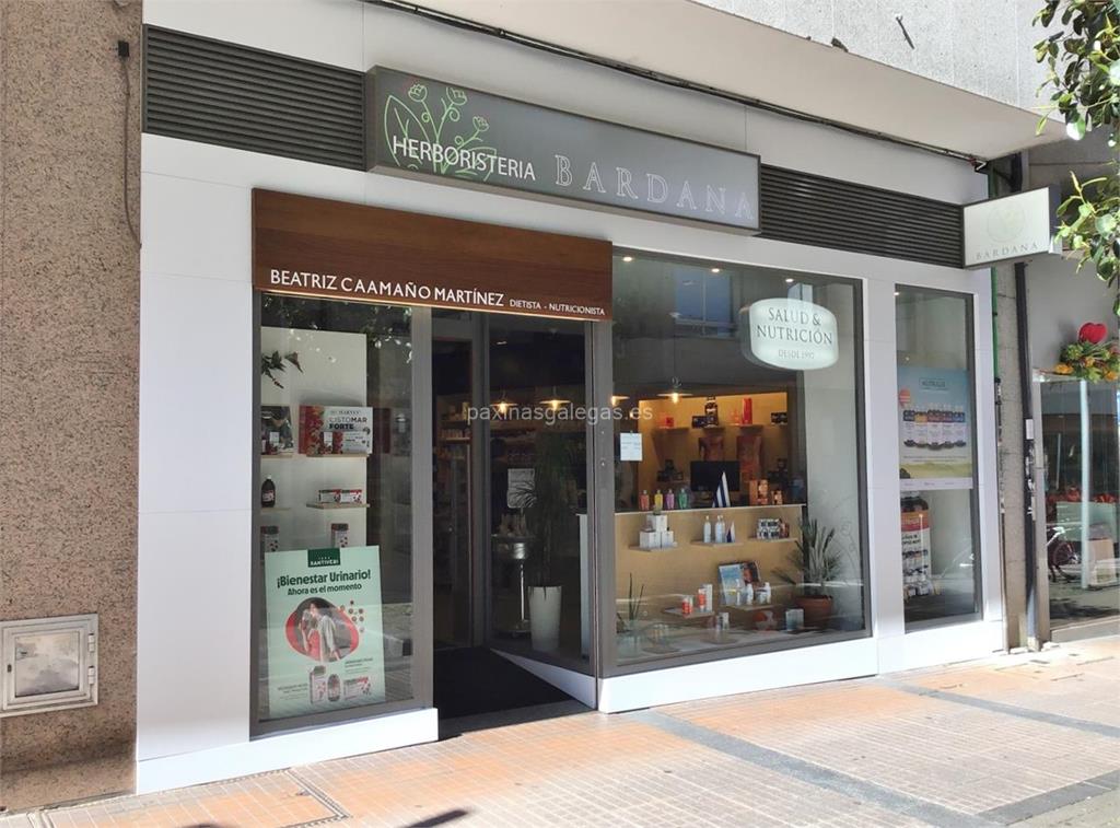 imagen principal Bardana (Santiveri)