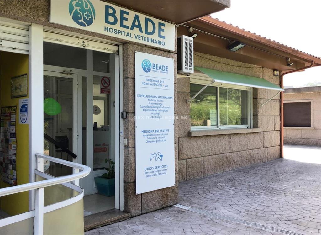 imagen principal Beade Vetpartners