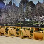 Foto de la empresa (4)