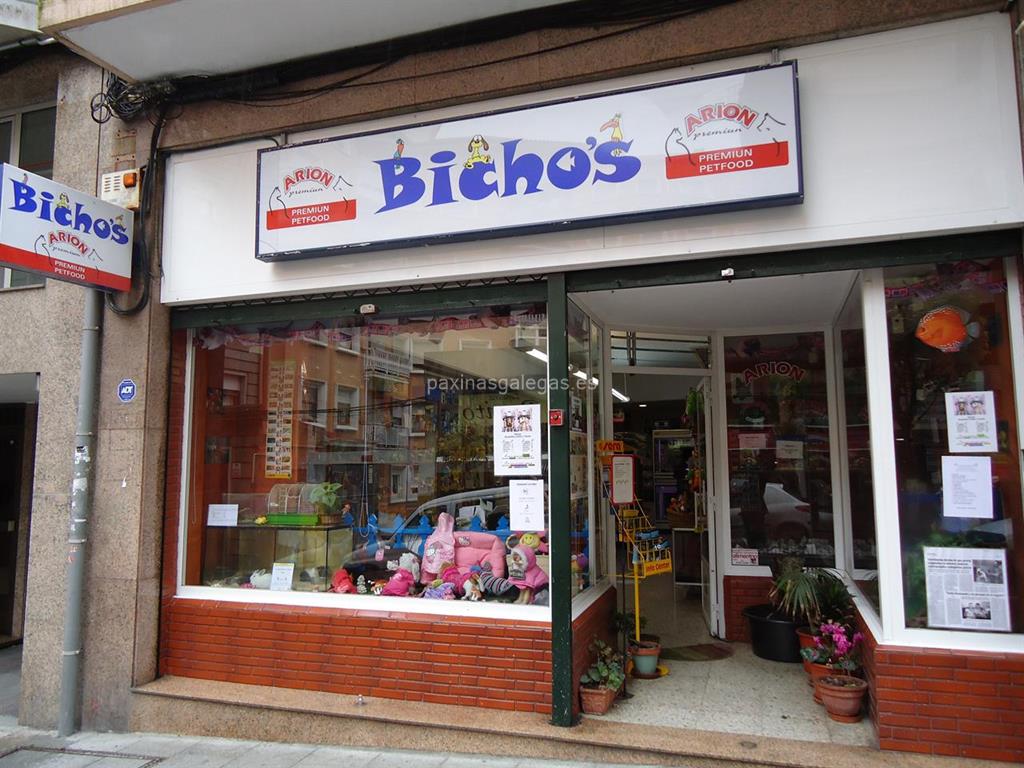 imagen principal Bicho's 