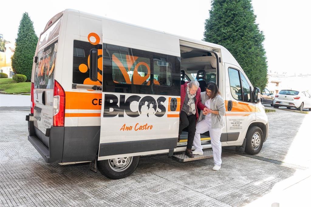 Bicos imagen 17