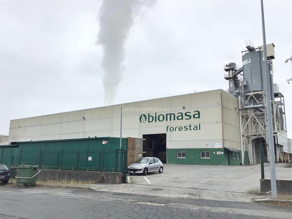 imagen principal Biomasa Forestal (Bioforestal)