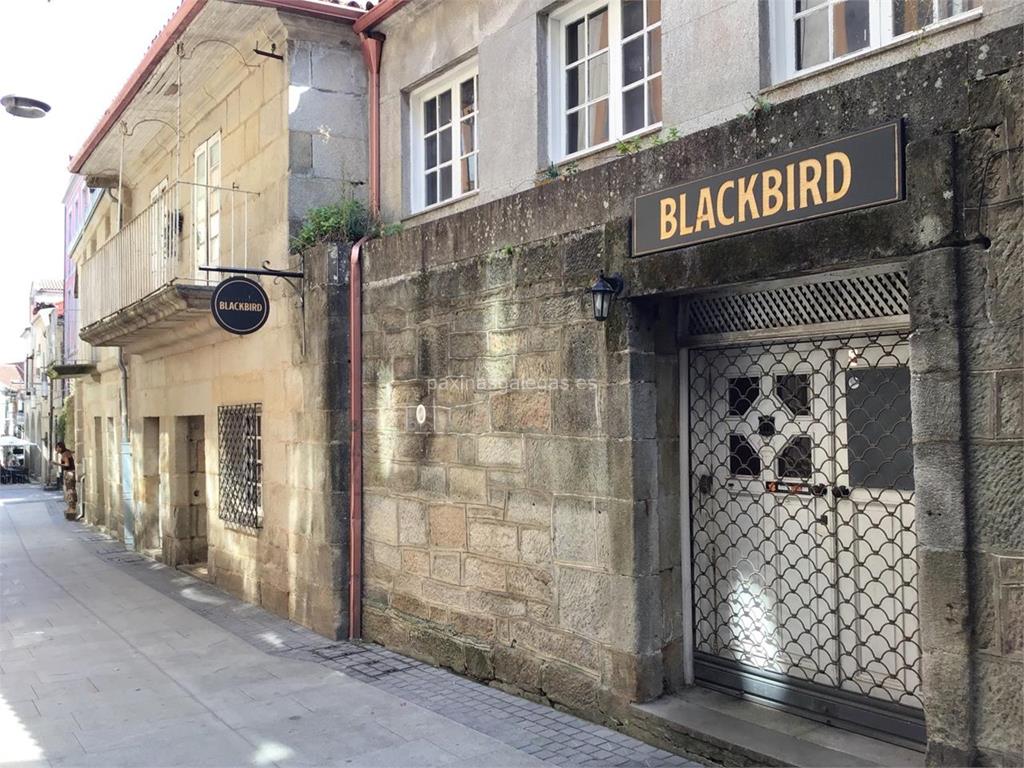 Cerveceria BLACKBIRD Cerveceria BLACKBIRD