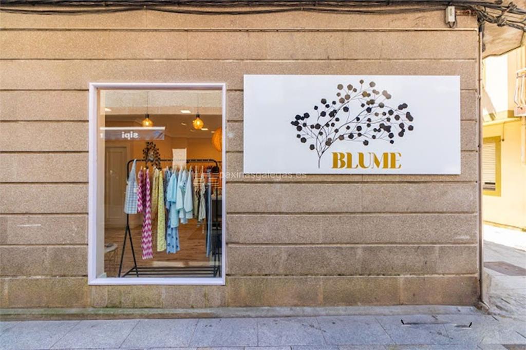imagen principal Blume