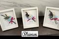 video corporativo Blumen Arte Floral - Teleflora