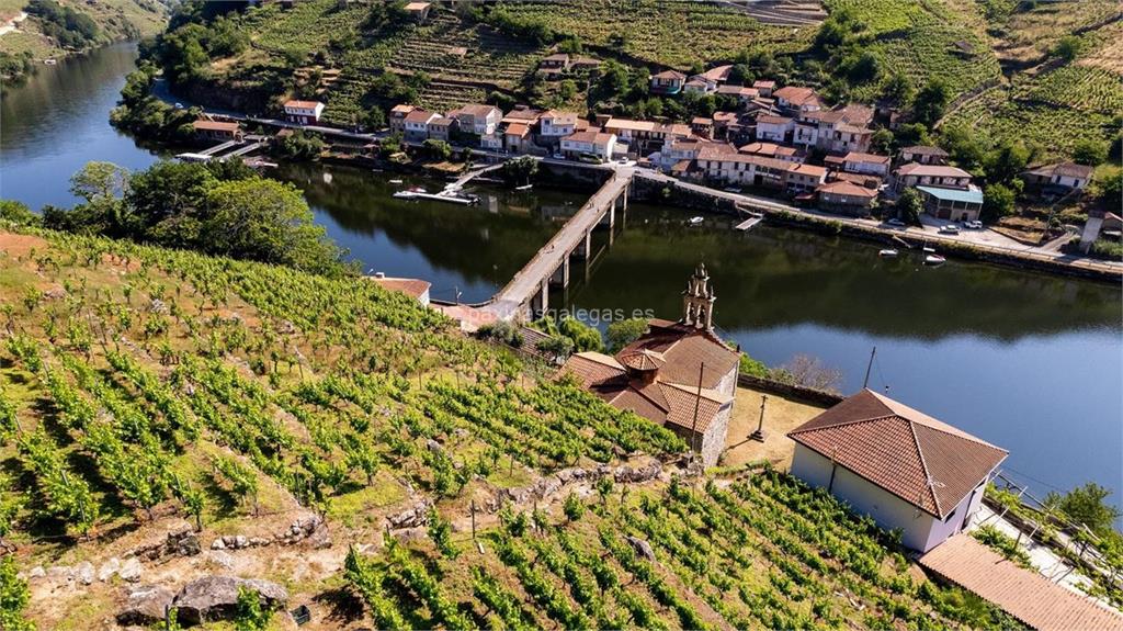 imagen principal Bodega Mauricio Lorca