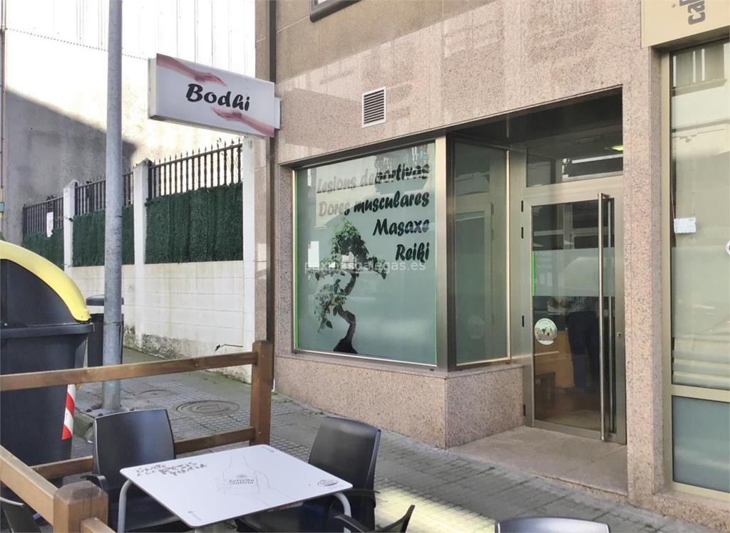 imagen principal Bodhi