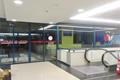 imagen principal Bolera Park