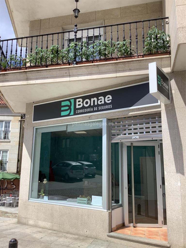 imagen principal Bonae