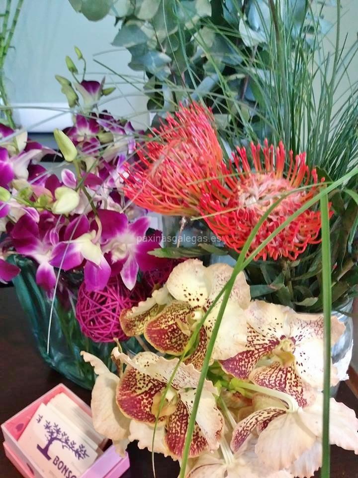Bonsai Floristería - Teleflora imagen 9