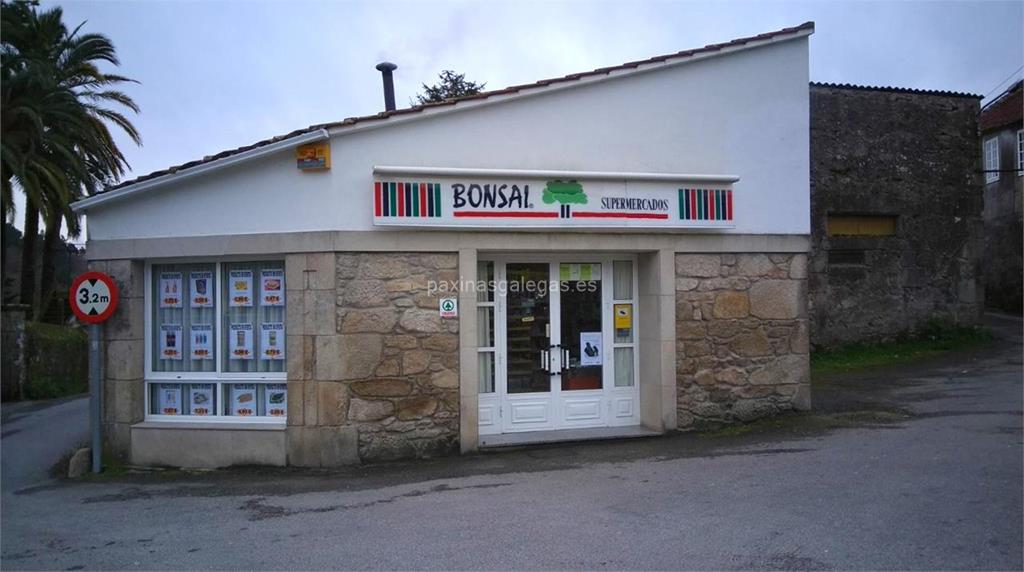 imagen principal Bonsai