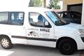 imagen principal Borrajo