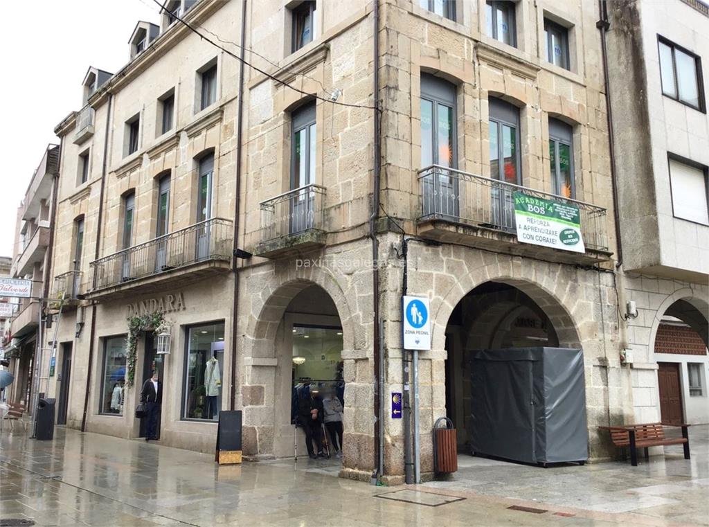 imagen principal Bos